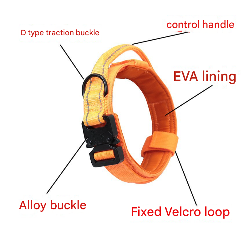 XL khaki Hands-Free Dog Leash with Adjustable Waist Belt - Shock Absorbing Bungee Lead - The Grand Bazaar of Australia