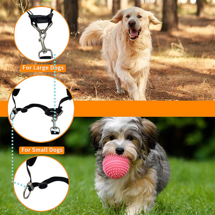 Black Reflective Pet Waist Bag with Hands-Free Leash for Night Safety - Adjustable Waist Pack with Detachable Pouches - The Grand Bazaar of Australia