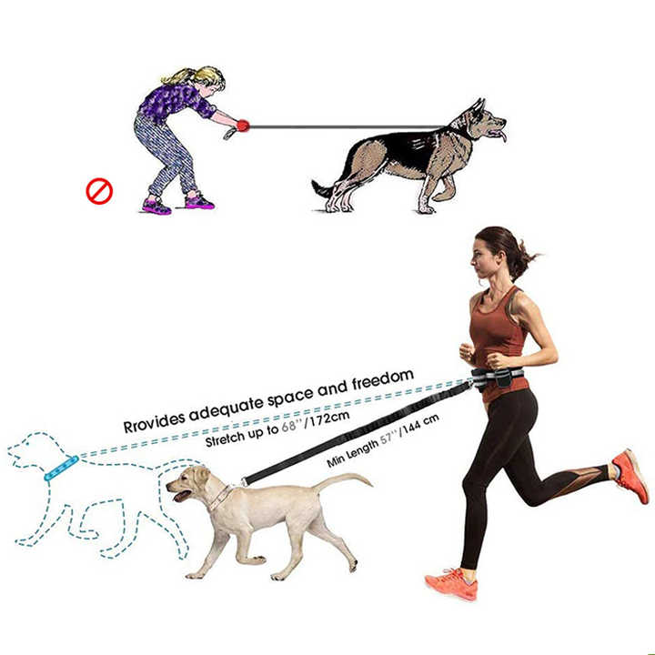 Grey Reflective Pet Waist Bag with Hands-Free Leash for Night Safety - Adjustable Waist Pack with Detachable Pouches - The Grand Bazaar of Australia