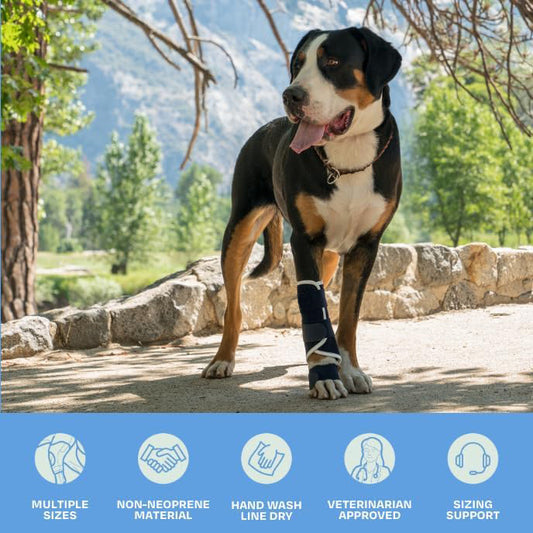 3 Pcs Size XXS Dark Blue Supportive Dog Leg Brace - Adjustable Carpal/Tarsal Splint for Injury & Arthritis Relief