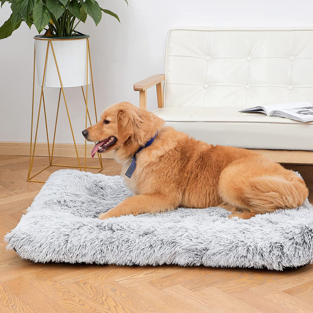 PETSWOL Plush and Cozy Pet Mat for Ultimate Comfort and Warmth-Light Grey - The Grand Bazaar of Australia