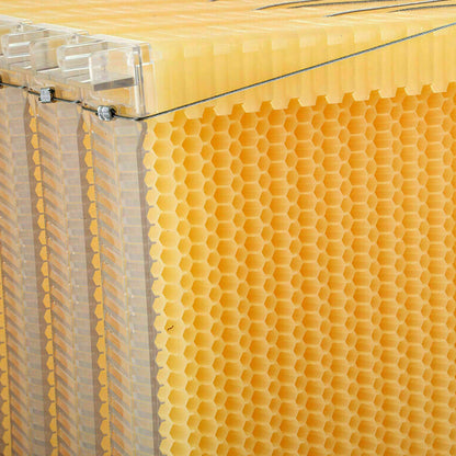 7 Pcs Unassembled Sheets Beehive Wooden Frames Beekeeping Supplies - The Grand Bazaar of Australia