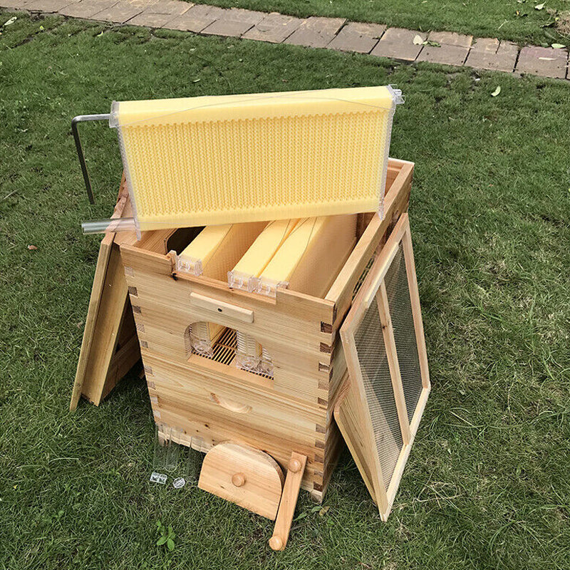 7 Pcs Unassembled Sheets Beehive Wooden Frames Beekeeping Supplies - The Grand Bazaar of Australia