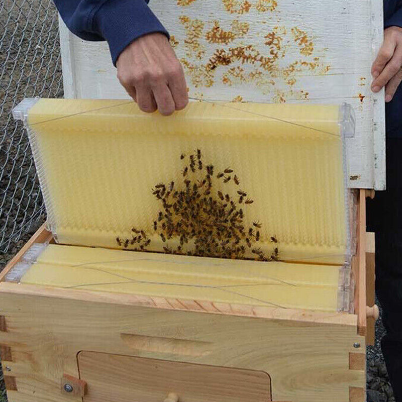 7 Pcs Unassembled Sheets Beehive Wooden Frames Beekeeping Supplies - The Grand Bazaar of Australia