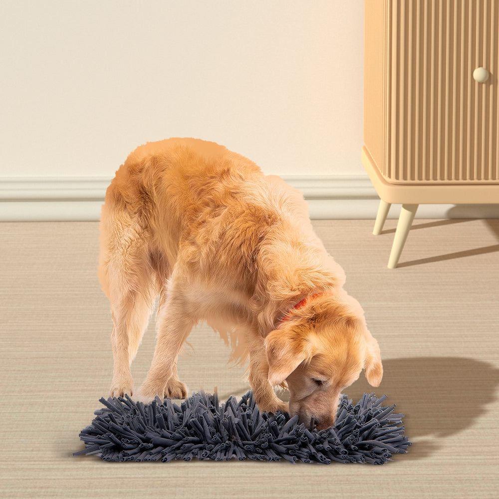 PETSWOL Dog Snuffle Mat - Premium Interactive Toy For Calm And Happy Pups - The Grand Bazaar of Australia