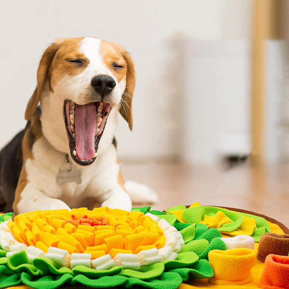 PETSWOL Pet Snuffle Mat With Puzzle For Dogs - The Grand Bazaar of Australia
