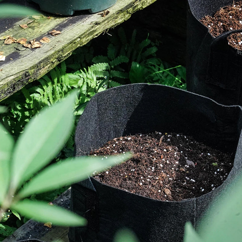 Non-Woven Fabric Reusable and Breathable Growing Planter Pots in 5, 10, and 20 Gallon - The Grand Bazaar of Australia