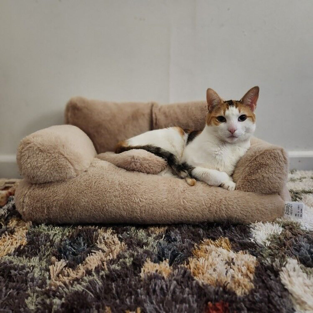 Luxurious Plush Sofa Bed for Cats and Small Dogs - The Grand Bazaar of Australia