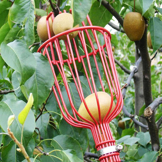 Easy-Pick Fruit Harvester Tool for Orchard and Garden - The Grand Bazaar of Australia