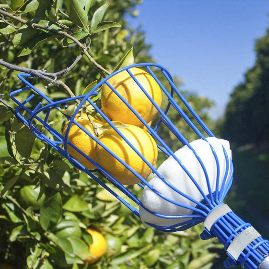 Easy-Pick Fruit Harvester Tool for Orchard and Garden - The Grand Bazaar of Australia