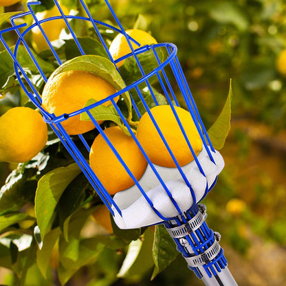 Easy-Pick Fruit Harvester Tool for Orchard and Garden - The Grand Bazaar of Australia