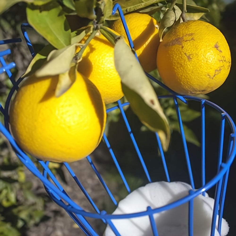 Easy-Pick Fruit Harvester Tool for Orchard and Garden - The Grand Bazaar of Australia