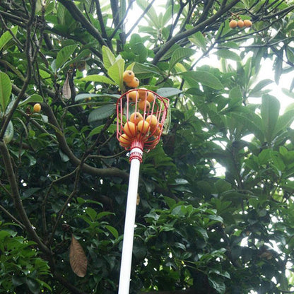 Easy-Pick Fruit Harvester Tool for Orchard and Garden - The Grand Bazaar of Australia