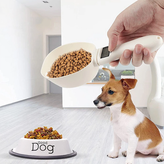 Electronic Spoon Scale with LED Display - The Grand Bazaar of Australia