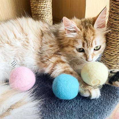 Interactive Electric Smart Cat Toy - The Grand Bazaar of Australia