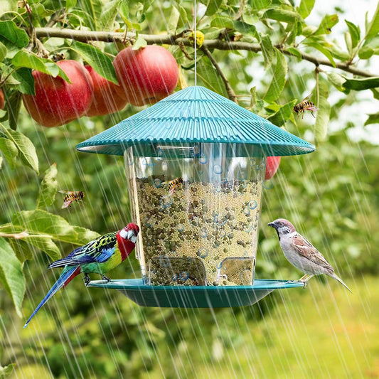 Automatic Foot Feeding Tool Outdoor Bird Feeder - The Grand Bazaar of Australia