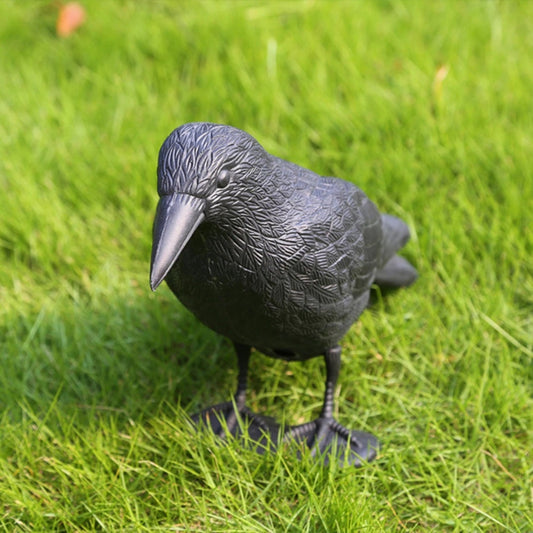 Simulation Black Crow Raven Pigeon Repellent - The Grand Bazaar of Australia