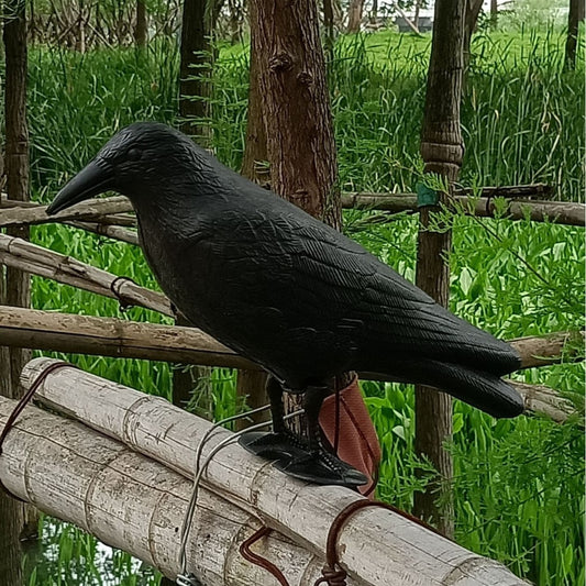 Simulation Black Crow Raven Pigeon Repellent - The Grand Bazaar of Australia