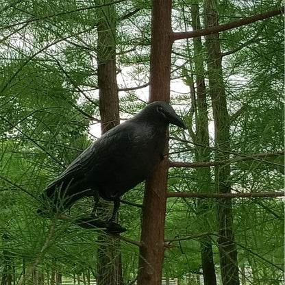 Simulation Black Crow Raven Pigeon Repellent - The Grand Bazaar of Australia