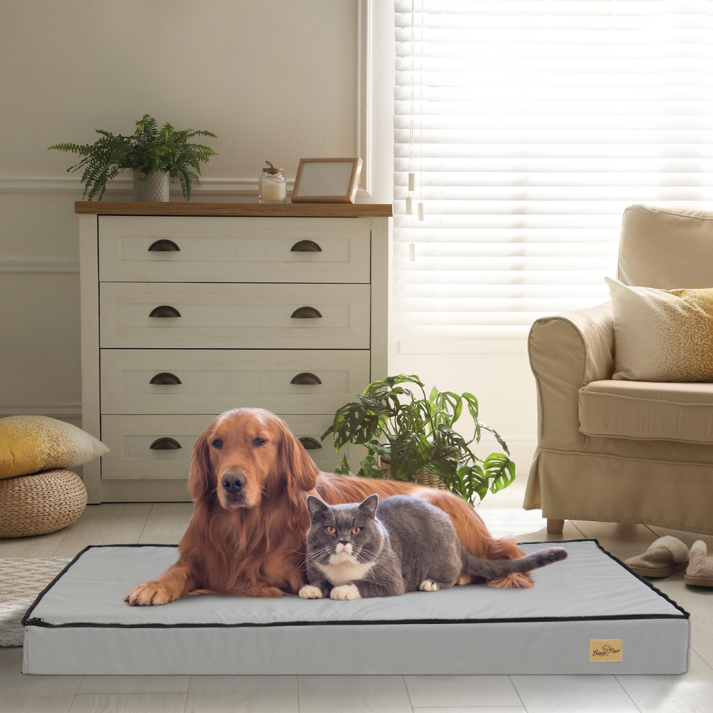 Gray Orthopedic Pet Calming Bed Soft Sponge Foam Base with Removable Cover - The Grand Bazaar of Australia