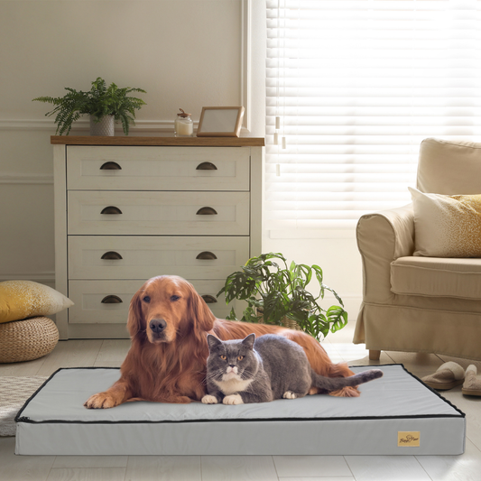 Gray Orthopedic Pet Calming Bed Soft Sponge Foam Base with Removable Cover - The Grand Bazaar of Australia