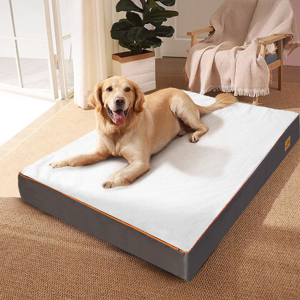 Gray Orthopedic Pet Calming Bed Soft Sponge Foam Base with Removable Cover - The Grand Bazaar of Australia