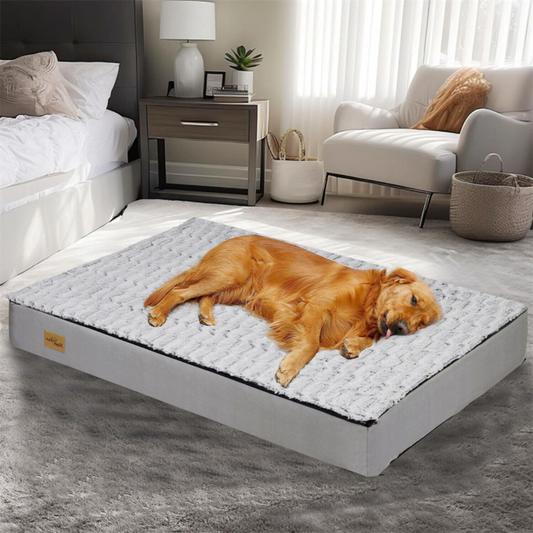 Gray Orthopedic Pet Calming Bed Soft Sponge Foam Base with Removable Cover - The Grand Bazaar of Australia