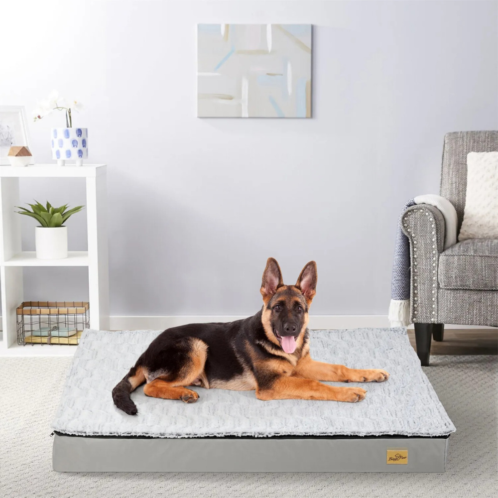 Gray Orthopedic Pet Calming Bed Soft Sponge Foam Base with Removable Cover - The Grand Bazaar of Australia