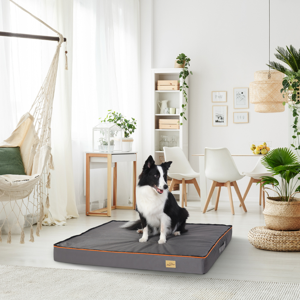 Gray Orthopedic Pet Calming Bed Soft Sponge Foam Base with Removable Cover - The Grand Bazaar of Australia