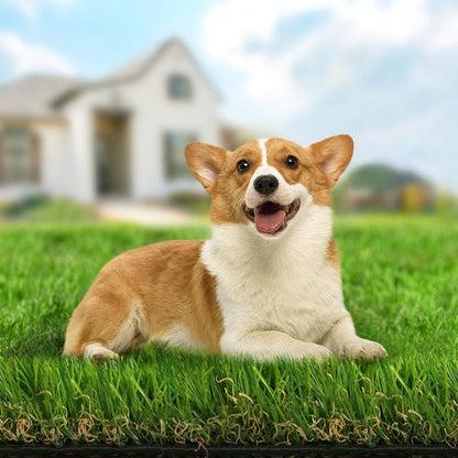 Premium Artificial Grass for a Effortless Yard - The Grand Bazaar of Australia
