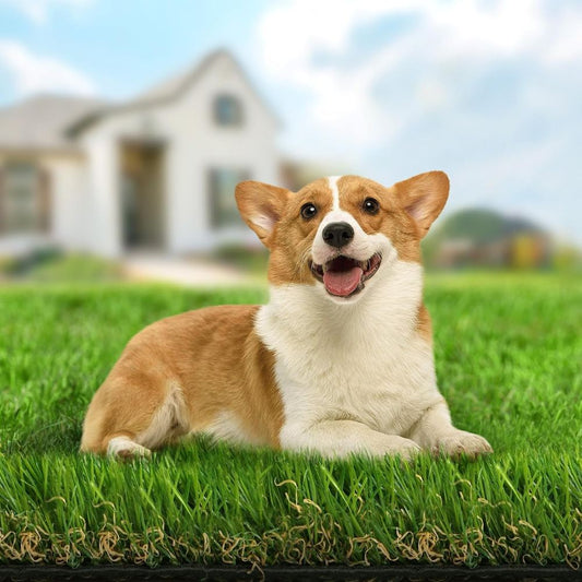Premium Artificial Grass for a Effortless Yard - The Grand Bazaar of Australia