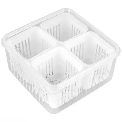 Refrigerator Storage Box 4 and 6 Grids Food Vegetable Fruit - The Grand Bazaar of Australia