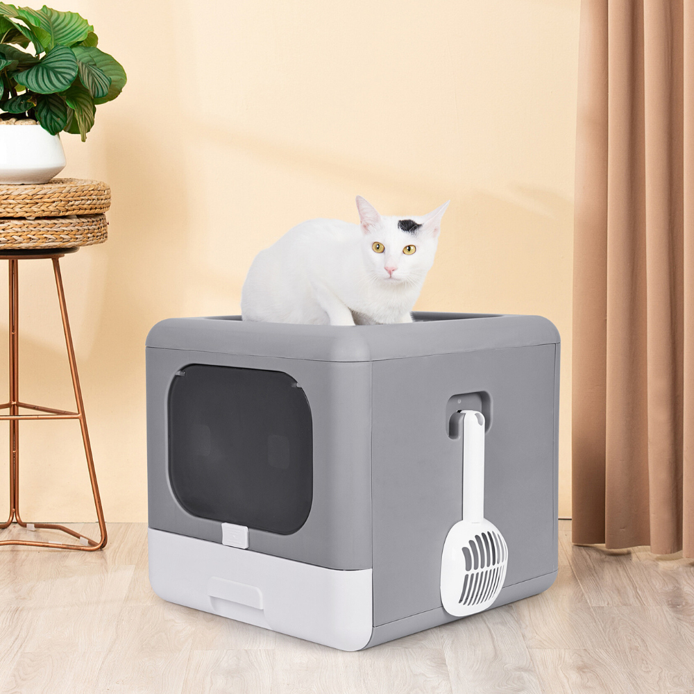 Sleek and Functional Cat Litter Box-Detachable Design - The Grand Bazaar of Australia