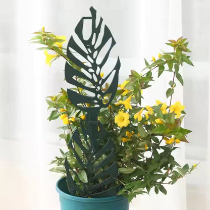Trellis for Potted Plants Garden Trellis for Climbing Plants - The Grand Bazaar of Australia