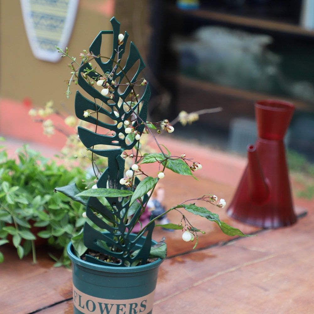 Trellis for Potted Plants Garden Trellis for Climbing Plants - The Grand Bazaar of Australia