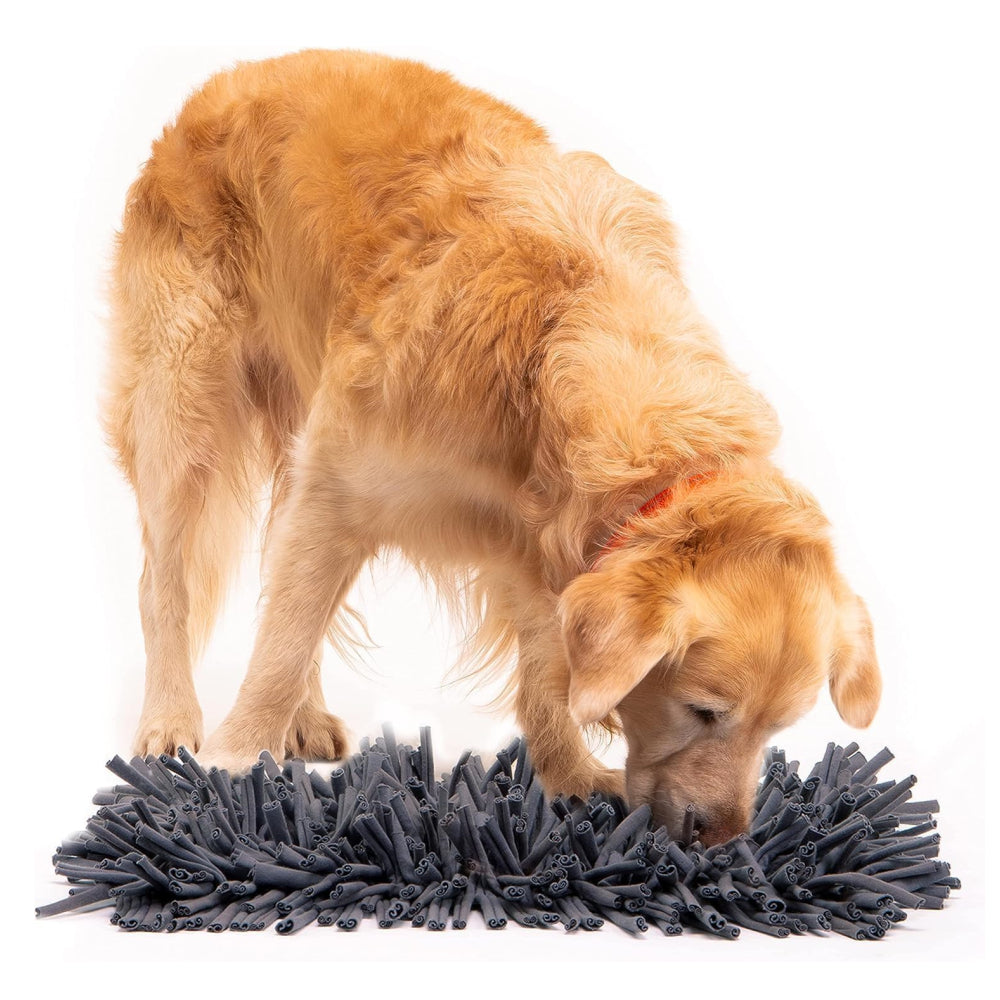 PETSWOL Dog Snuffle Mat - Premium Interactive Toy For Calm And Happy Pups - The Grand Bazaar of Australia