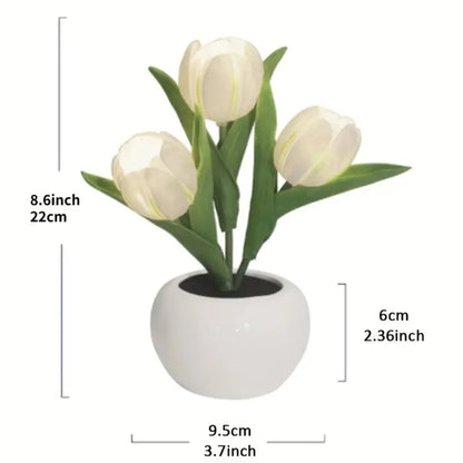 Tulip Table Lamp LED Bedside Lamp - The Grand Bazaar of Australia