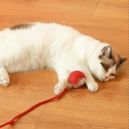 Toy Dog Cat Interactive Rechargeable Rolling Ball with Faux Tail