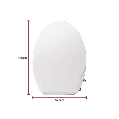 Non Electric Bidet Toilet Seat with Cover