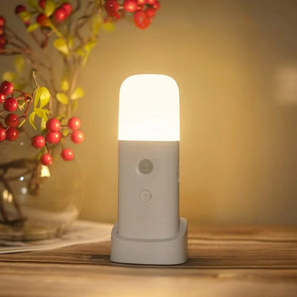 LED Motion Sensor Night Light USB Rechargeable and Dimmable