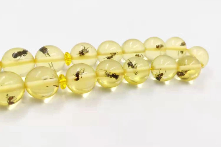 Big Size Real Insect Resin Tasbih – Unique Muslim Prayer Beads with Nature’s Touch