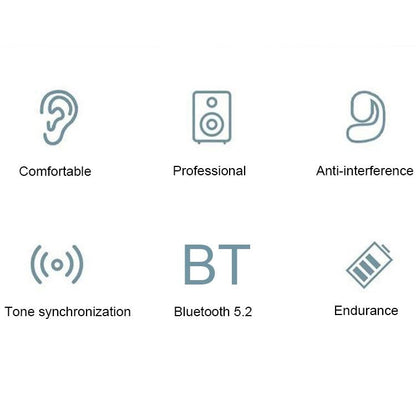 Wireless Bluetooth 5.2 Earphones with Noise Reduction Ear-mounted Design - Black Bag With Accessories