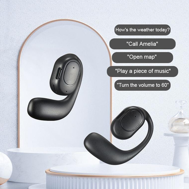 Wireless Bluetooth 5.2 Earphones with Noise Reduction Ear-mounted Design - Black Bag With Accessories
