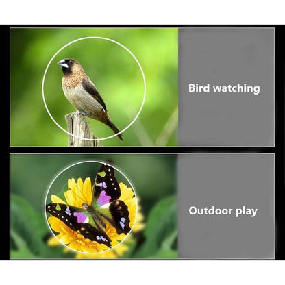 Low Light Visual Binoculars - 10x22 for Enhanced Viewing