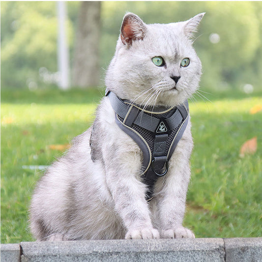 Grey Reflective Mesh Dog Harness and Leash Set - Adjustable No-Pull Vest - L