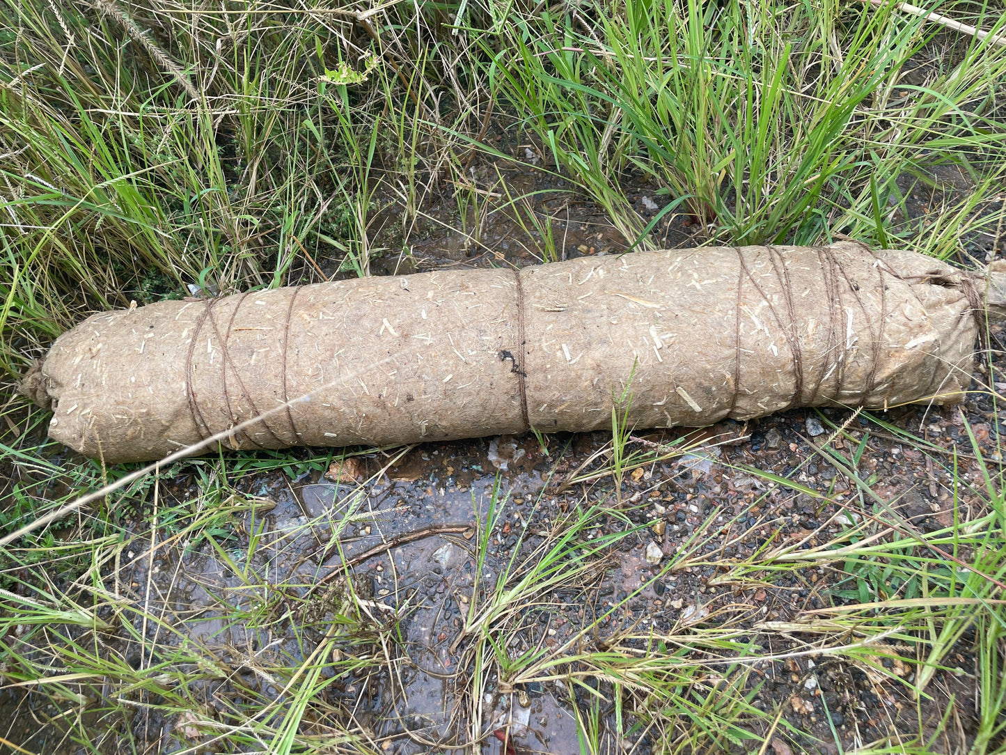 Hemp Absorbent Sock with Biological Actives